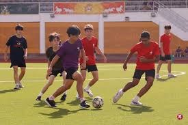 新手操作路径示意